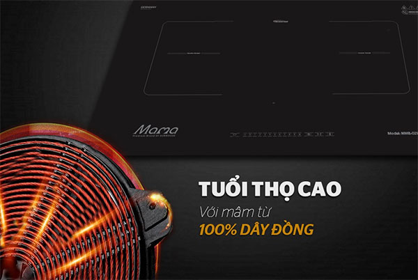 Mâm từ