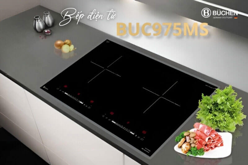 Bếp từ đôi Buchen