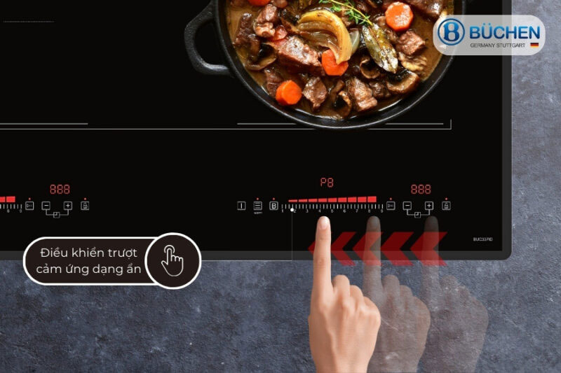 Điều khiển cảm ứng trượt dạng ẩn