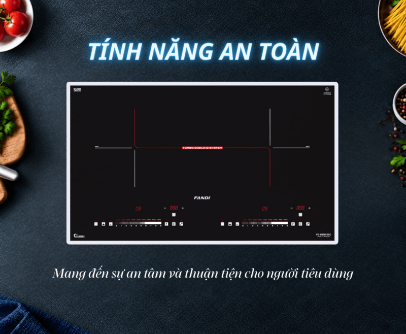 Bếp Từ Fandi FD-829IG2EC