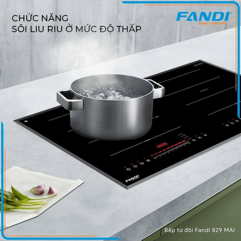 Bếp từ fandi fd-829mai 19 Bếp từ Fandi FD-829MAI